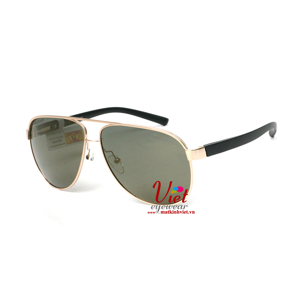 Kính mát Goldsun T30 G2